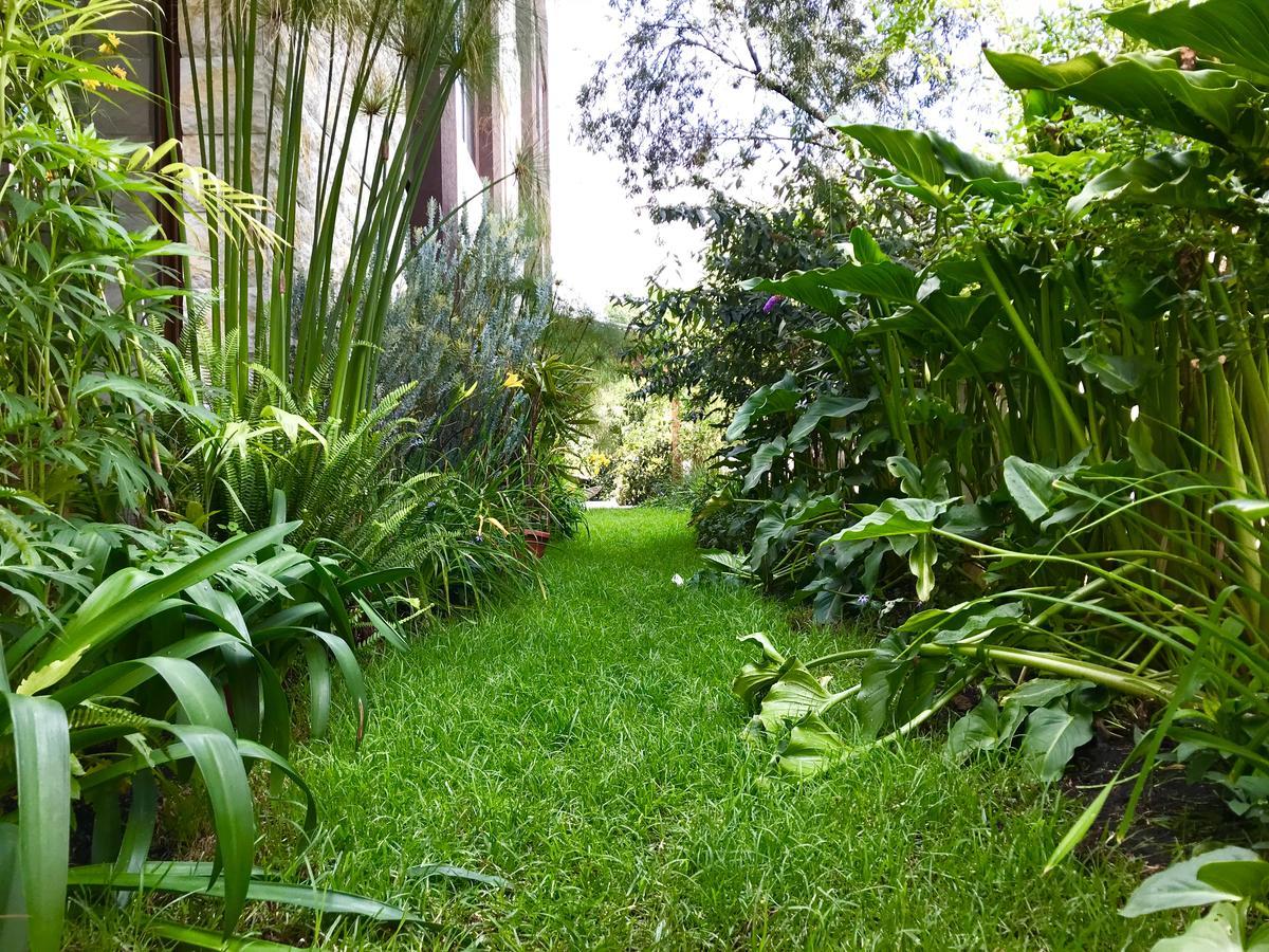 Ilalo Garden Hotel & Restaurant Quito Luaran gambar