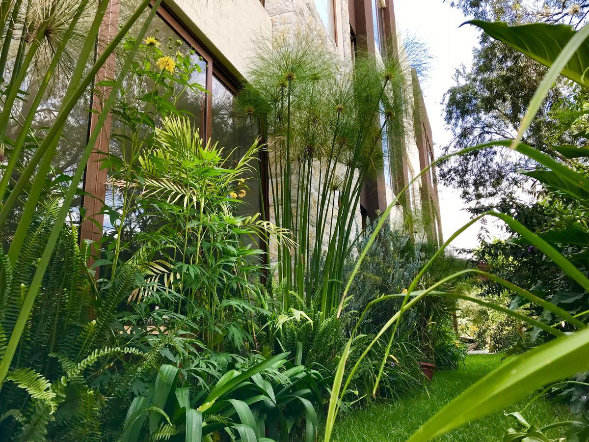 Ilalo Garden Hotel & Restaurant Quito Luaran gambar